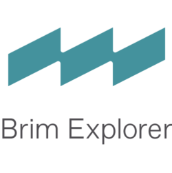 Brim logo